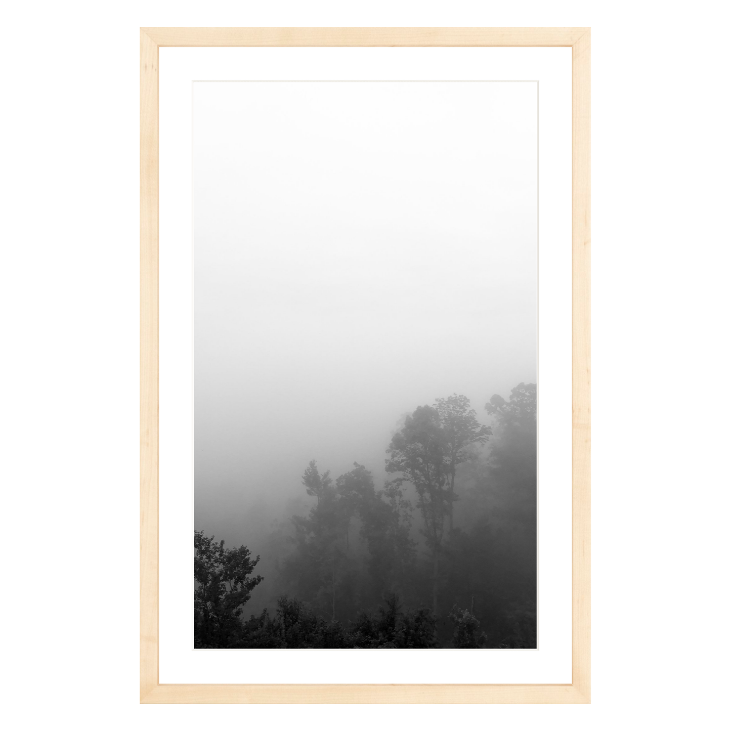 Fog