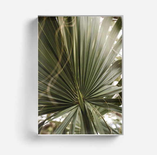 Palm Acrylic Block