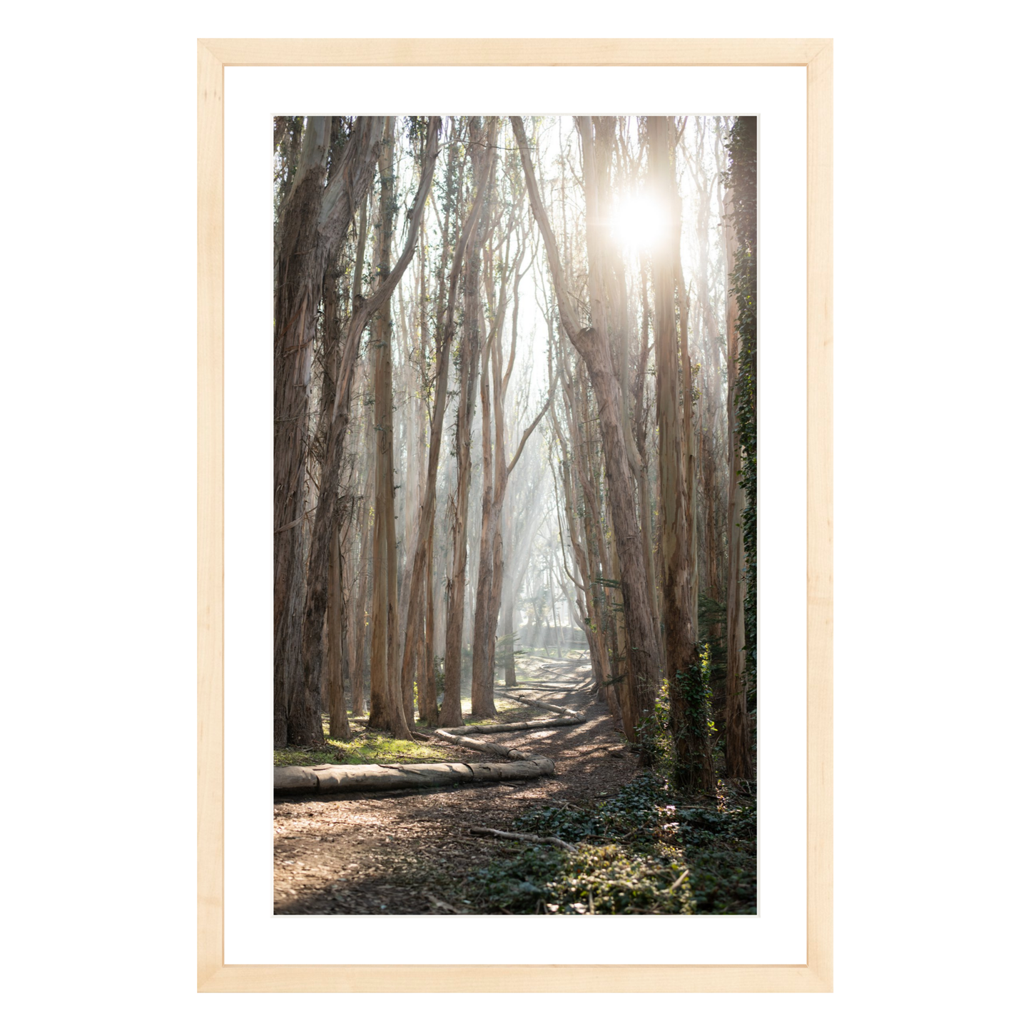 The Woodline