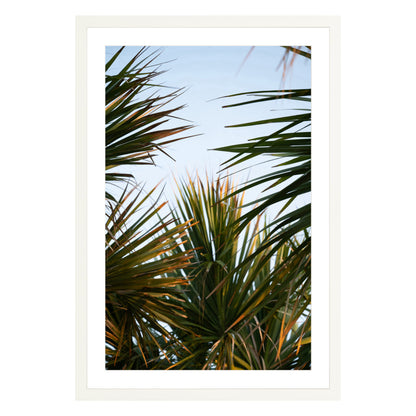 Photograph of beach palms in front of blue sky framed in white with white mat