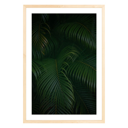 Photograph of palm branches at night in a natural wood frame with white mat