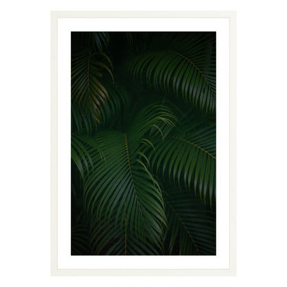 Photograph of palm branches at night in a white wood frame with white mat