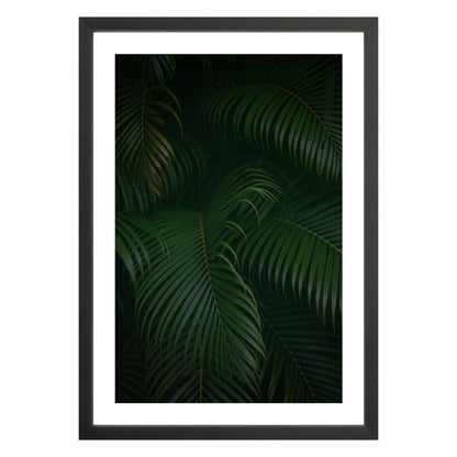 Photograph of palm branches at night in a black wood frame with white mat