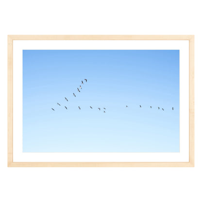 Photograph of birds in flying V shape in blue sky in natural wood frame with white mat