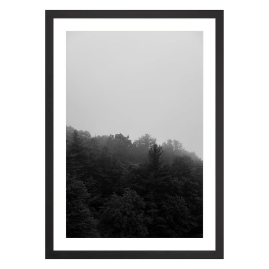 Photograph of trees in fog in black frame with white mat