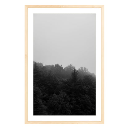 Photograph of trees in fog in natural wood frame with white mat