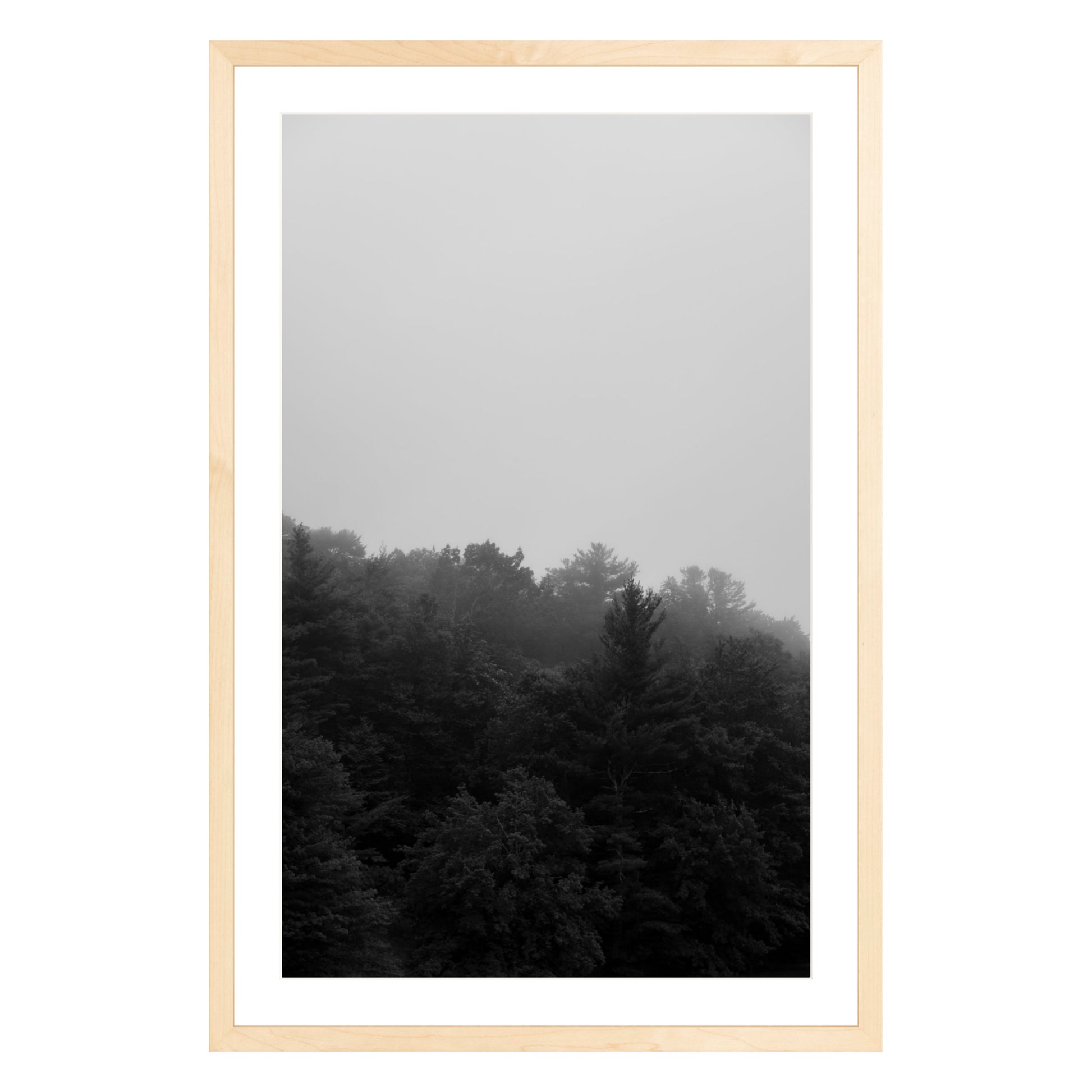 Photograph of trees in fog in natural wood frame with white mat