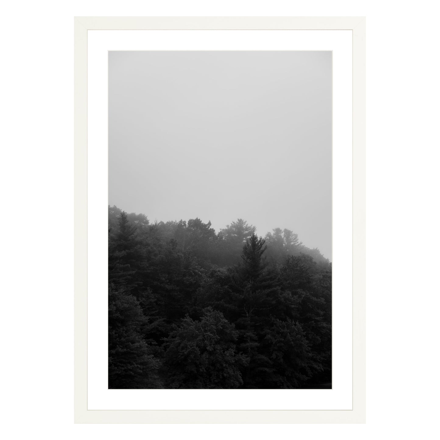 Photograph of trees in fog in white frame with white mat