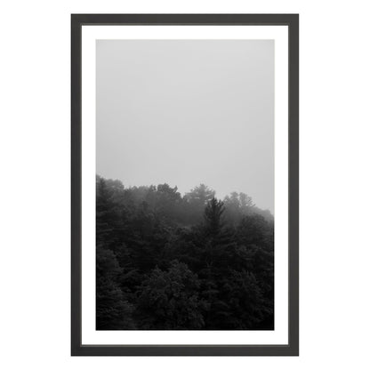 Photograph of trees in fog in black frame with white mat