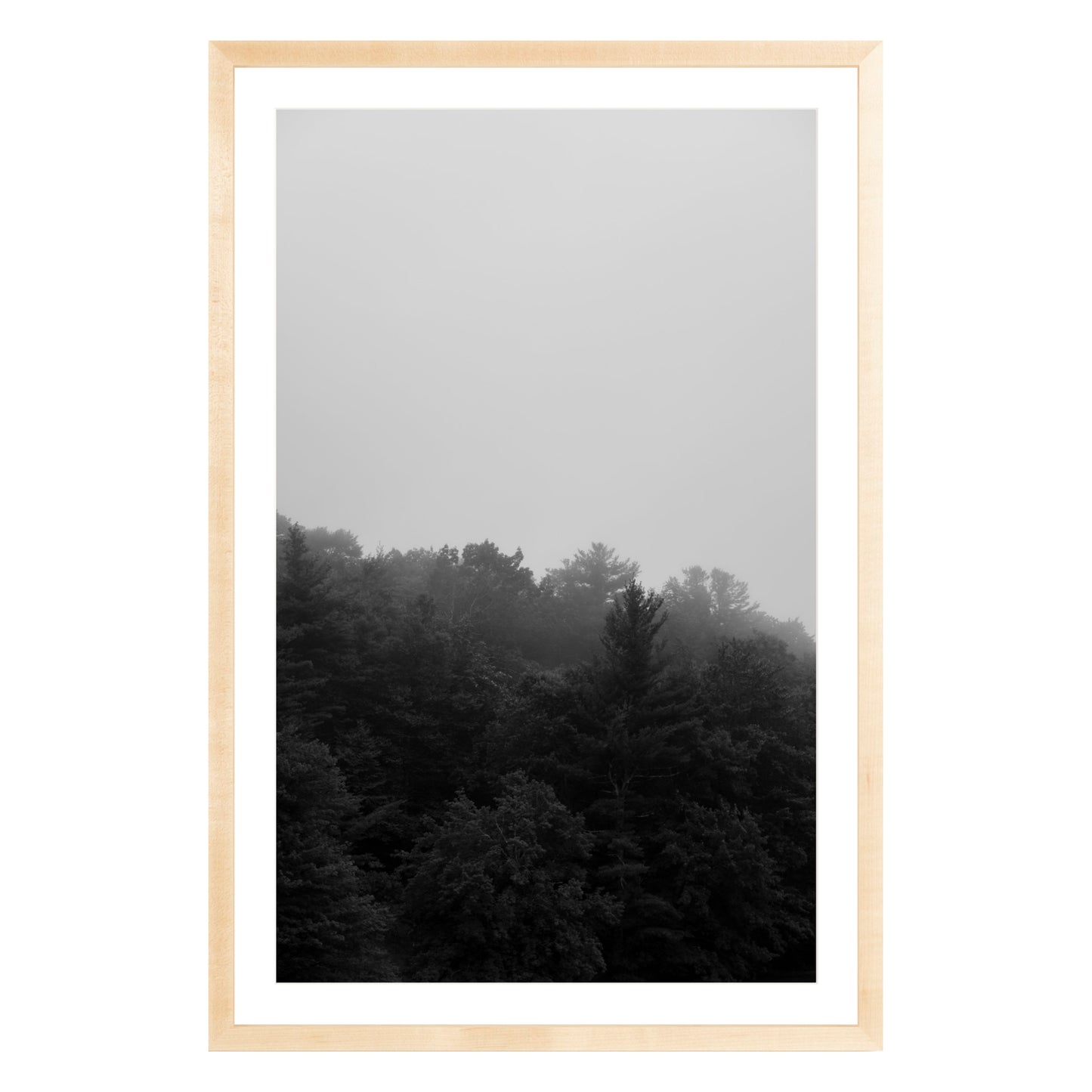 Photograph of trees in fog in natural wood frame with white mat