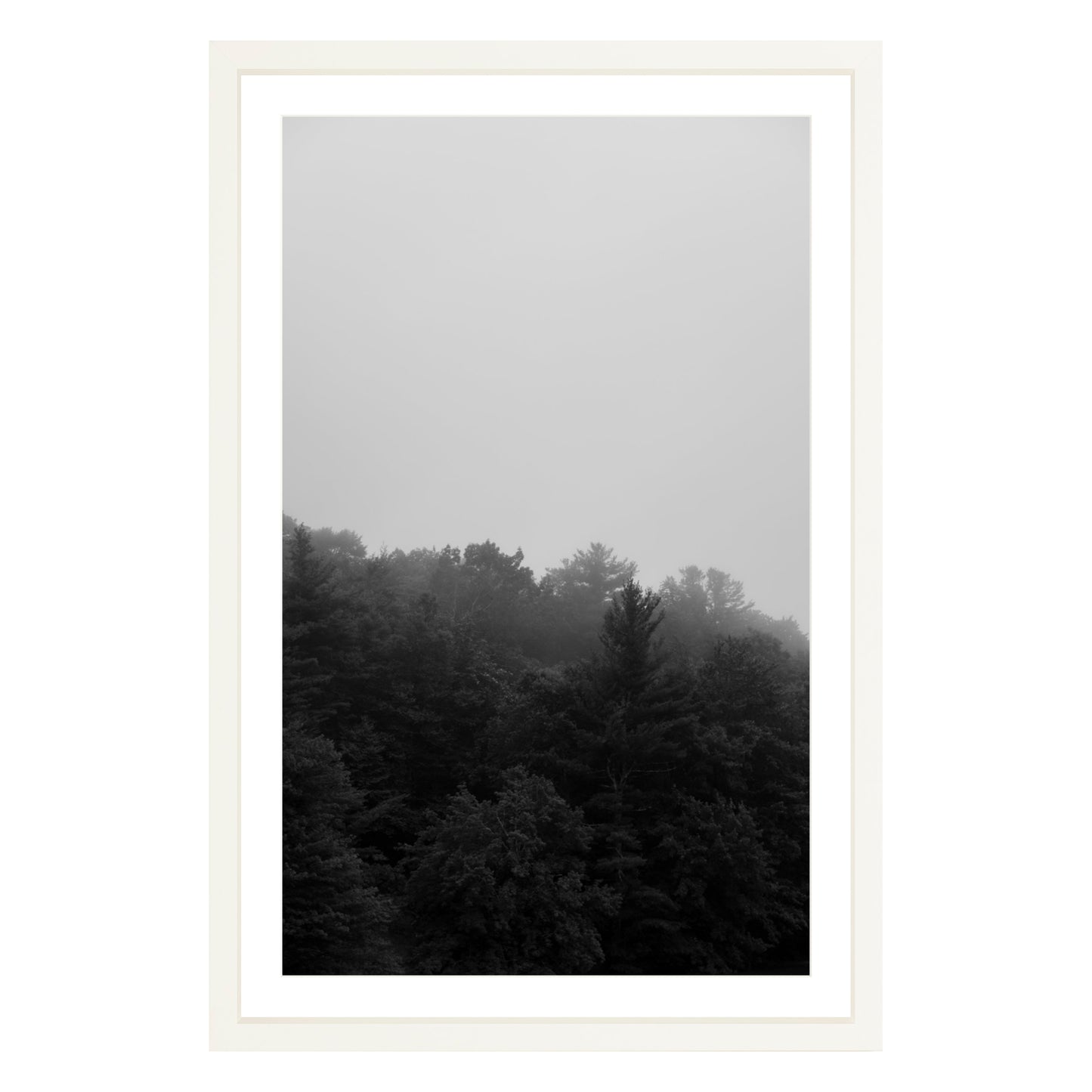 Photograph of trees in fog in white frame with white mat