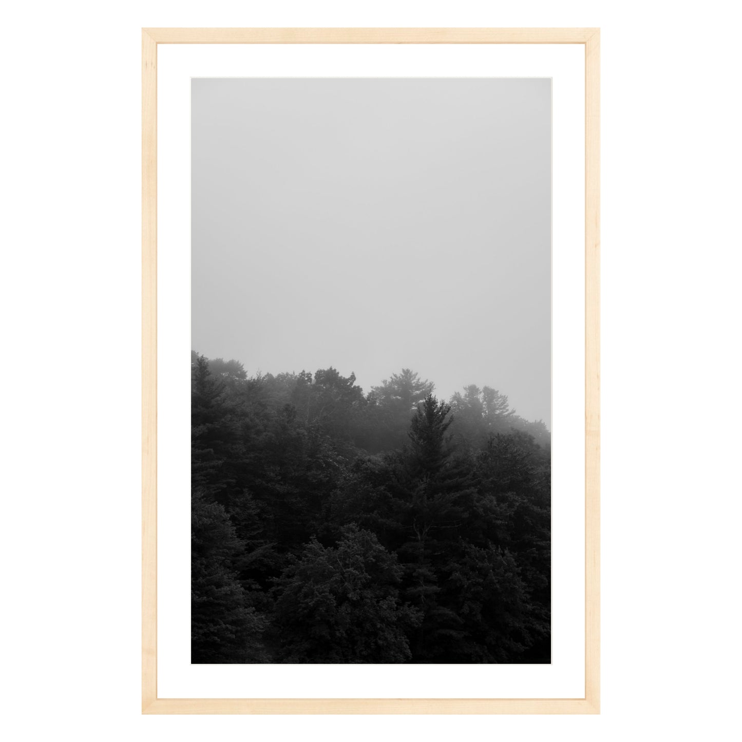 Photograph of trees in fog in natural wood frame with white mat