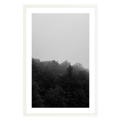 Photograph of trees in fog in white frame with white mat