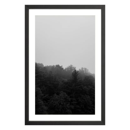 Photograph of trees in fog in black frame with white mat