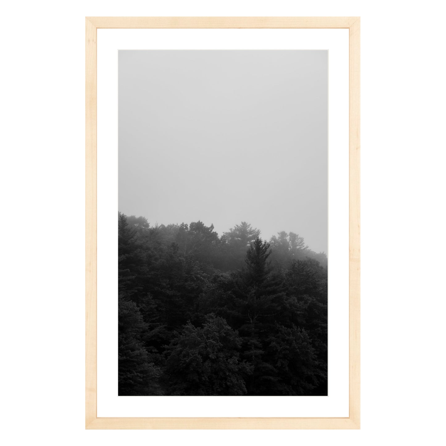 Photograph of trees in fog in natural wood frame with white mat