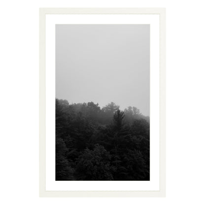 Photograph of trees in fog in white frame with white mat