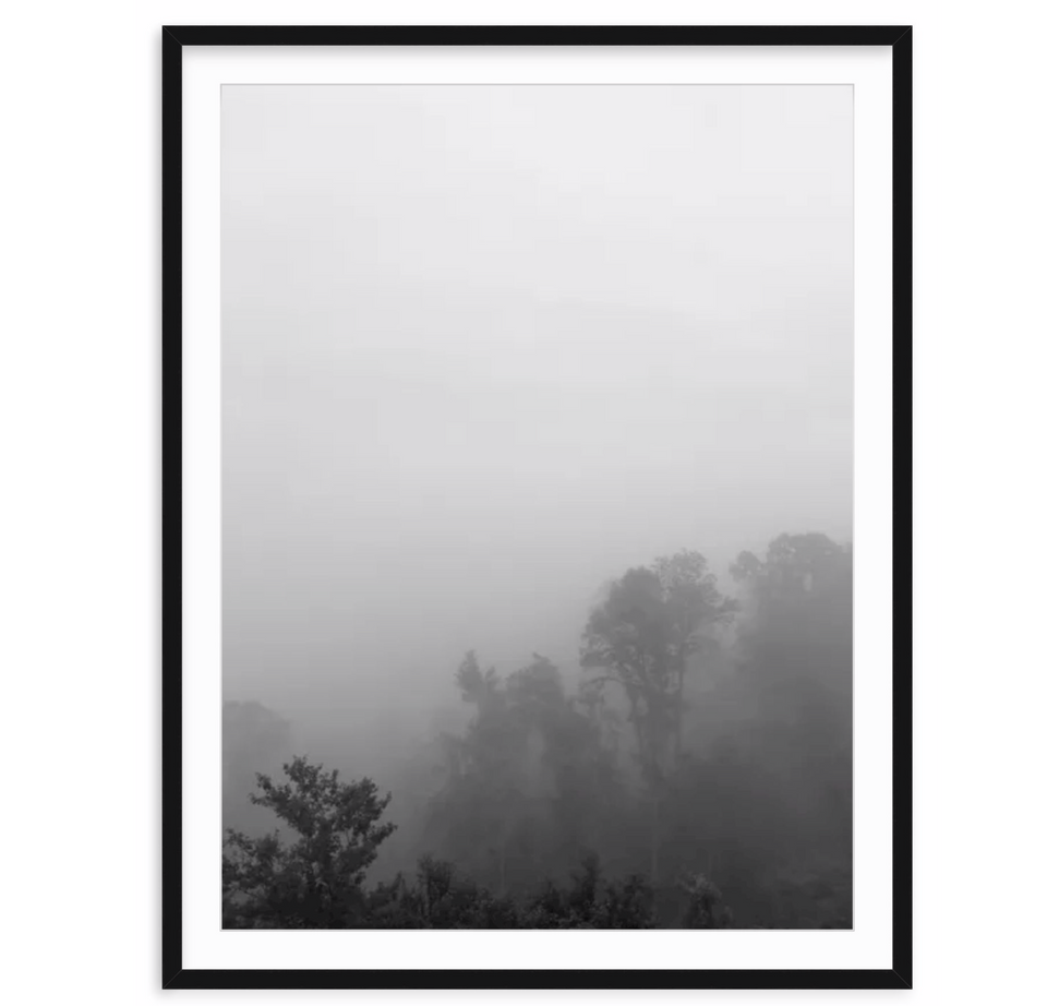 "Mountain Fog" was photographed from a treehouse just outside Asheville, NC. Amanda Anderson photographed this moment to capture the foggy scene that is so well known in any mountains landscape.