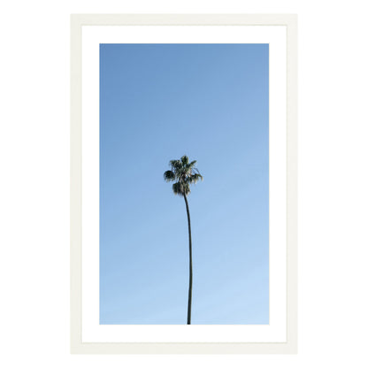 Photograph of single palm tree in front of blue sky in white frame with white mat