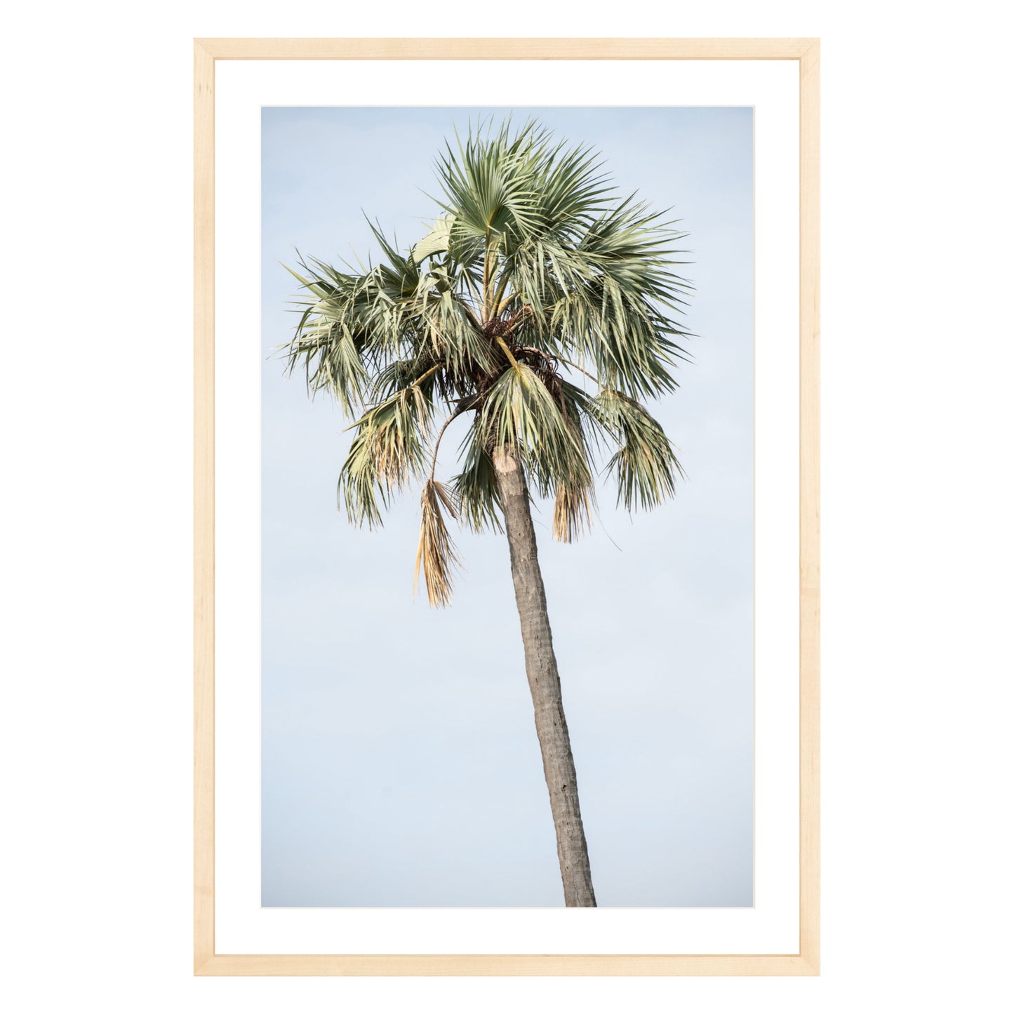 Photograph of a palm tree in Tanzania, framed in natural wood with white mat