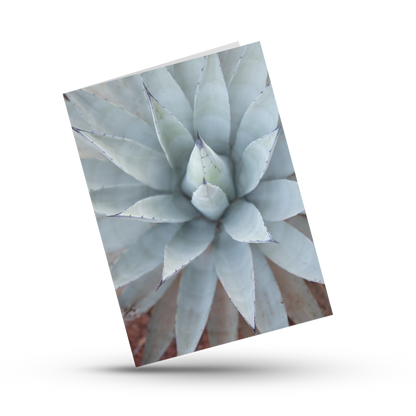 A Print Shop offers card packs with blank interiors for customers to write the perfect custom message. This Agave print by Amanda Anderson photography is the perfect card for any occasion.