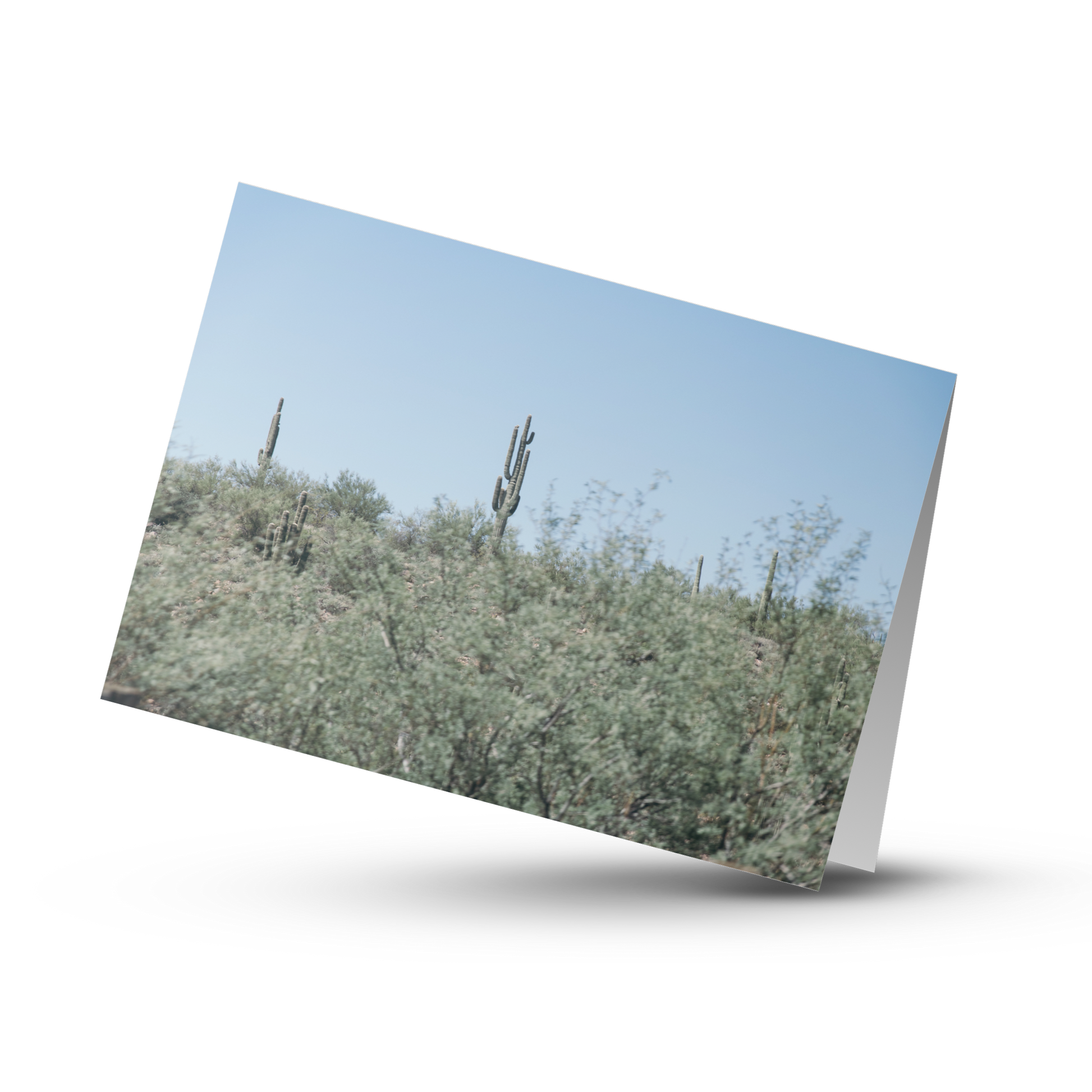 A Print Shop offers card packs with blank interiors for customers to write the perfect custom message. This Arizona scene is the perfect card front for any occasion. 