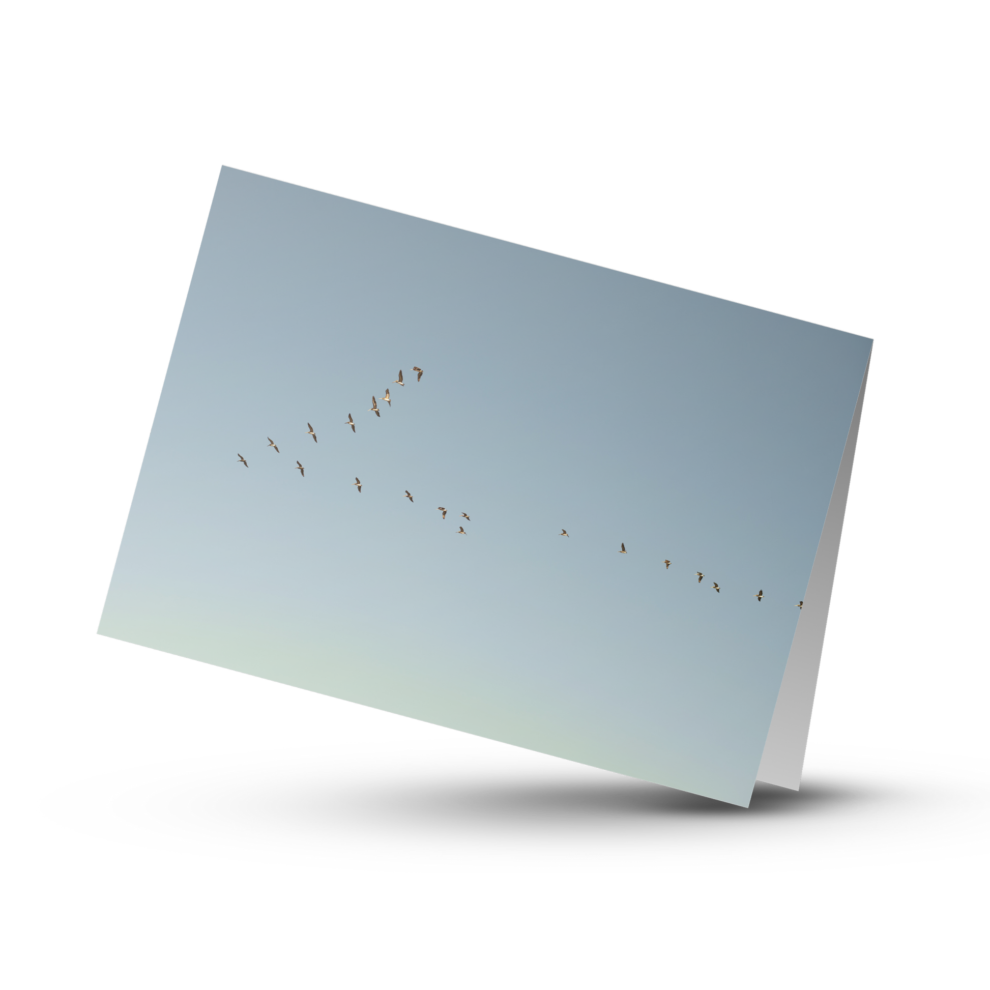 A Print Shop offers card packs with blank interiors for customers to write the perfect custom message.  "Flying V" by Amanda Anderson Photography, depicts the perfect V formation by a group of pelicans over the pacific ocean. 