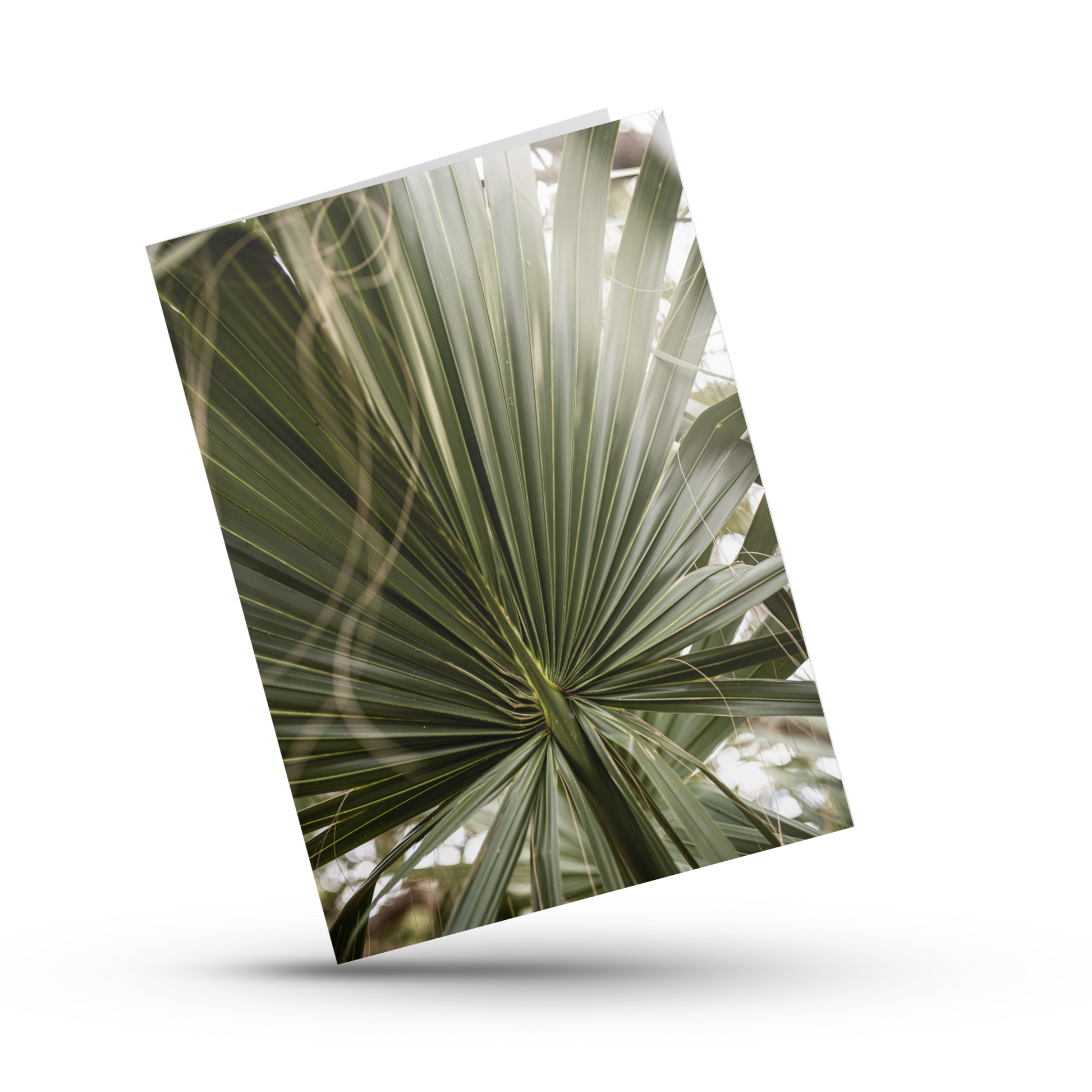 A Print Shop offers card packs with blank interiors for customers to write the perfect custom message. Amanda Anderson Photography's signature print, "Palm," is the perfect card front for any occasion.